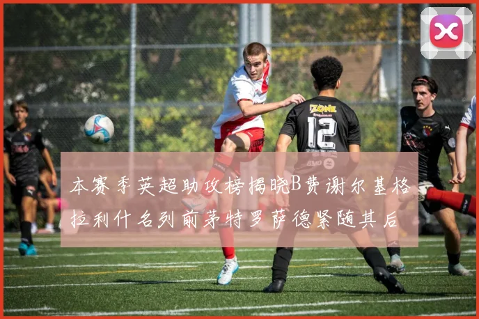 本赛季英超助攻榜揭晓B费谢尔基格拉利什名列前茅特罗萨德紧随其后