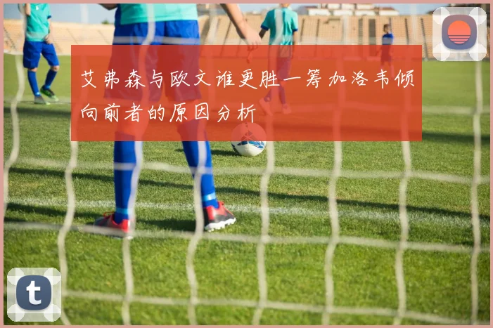 艾弗森与欧文谁更胜一筹加洛韦倾向前者的原因分析