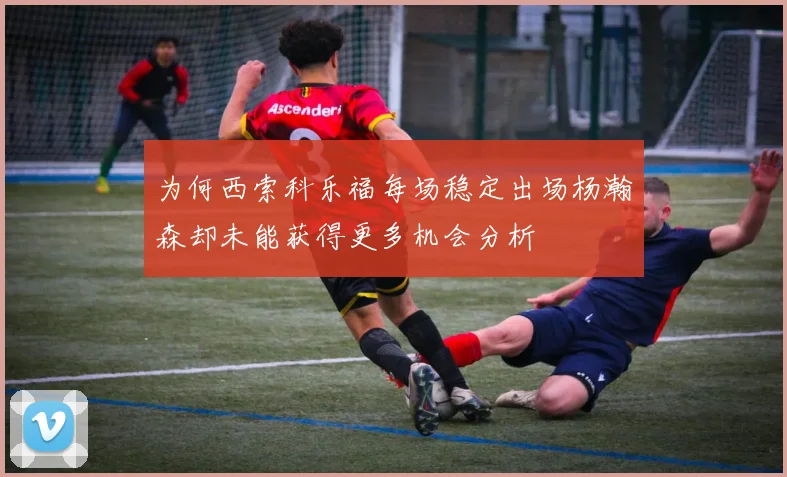 为何西索科乐福每场稳定出场杨瀚森却未能获得更多机会分析