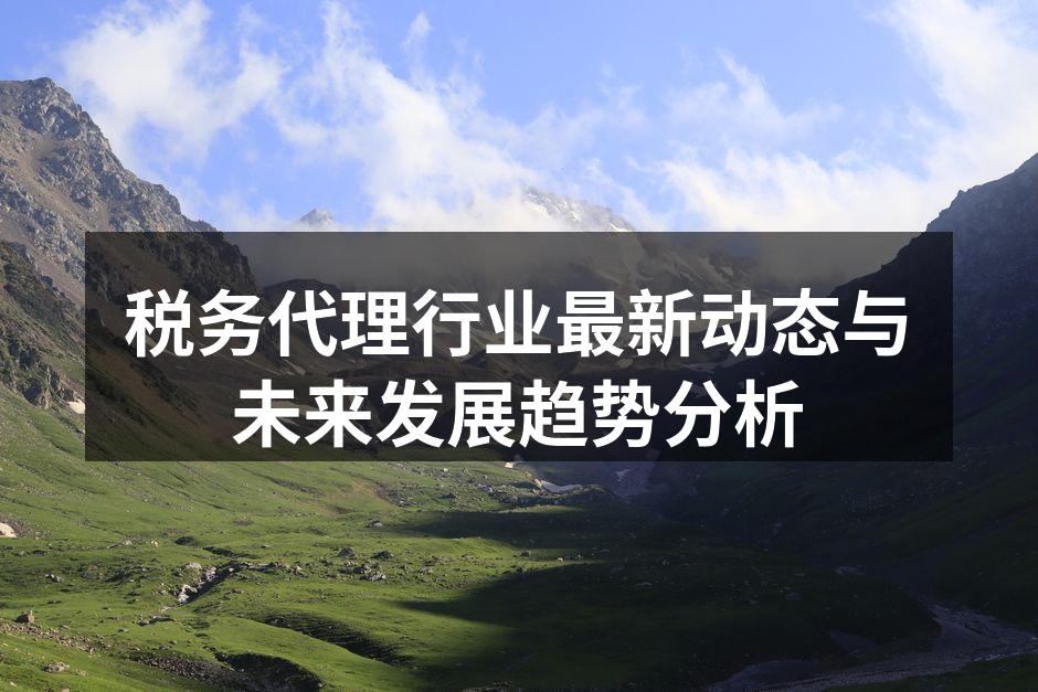 税务政策变化分析