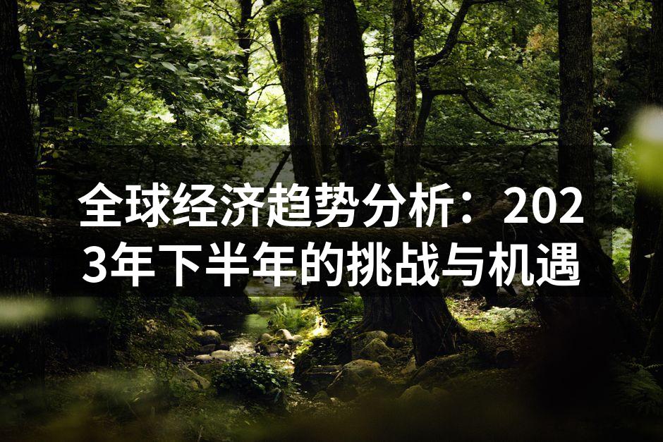 全球经济趋势分析：2023年下半年的挑战与机遇