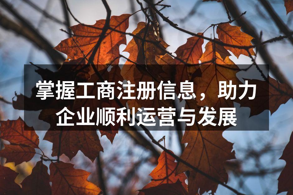 企业注册流程示意图