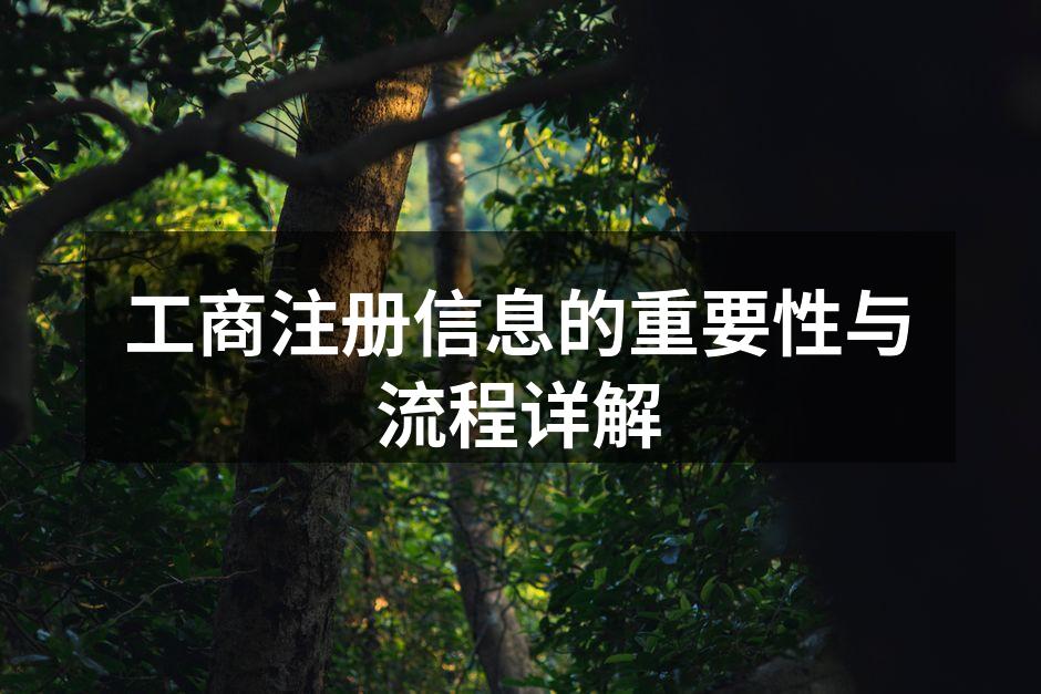 工商注册信息的重要性与流程详解