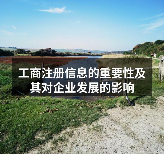 工商注册信息的重要性